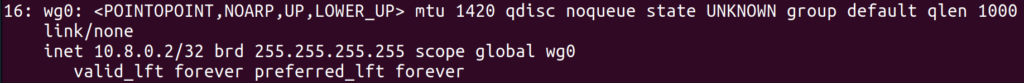 An `ip addr` entry describing a wg0 interface. Shows that the MTU of the interface is 1420.